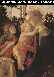 Sandro Botticelli The Virgin and child with John the Baptist (mk05)